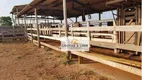 Foto 5 de Fazenda/Sítio com 7 Quartos à venda, 900m² em Zona Rural, Caiapônia