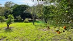 Foto 4 de Fazenda/Sítio à venda, 2600m² em Itacolomi, Gravataí