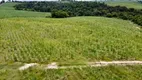 Foto 3 de Fazenda/Sítio com 3 Quartos à venda, 500m² em Centro, Porto Feliz