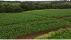 Foto 9 de Fazenda/Sítio à venda, 20000m² em Centro, Jaboticatubas