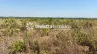 Foto 5 de Fazenda/Sítio à venda, 794m² em Zona Rural, Pium