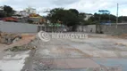 Foto 8 de Lote/Terreno à venda, 1400m² em Floramar, Belo Horizonte