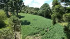 Foto 6 de Fazenda/Sítio à venda, 50000m² em Centro, Campo Alegre