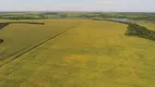 Foto 3 de Fazenda/Sítio à venda, 170000000m² em Setor Central, Santa Fé do Araguaia