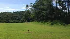 Foto 13 de Lote/Terreno à venda, 520m² em Amizade, Jaraguá do Sul