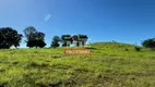 Foto 43 de Fazenda/Sítio à venda em Zona Rural, Matrinchã