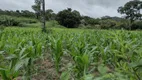 Foto 3 de Lote/Terreno à venda, 20000m² em Zona Rural, Fortuna de Minas