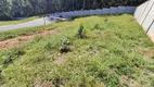 Foto 4 de Lote/Terreno à venda, 501m² em Granja Viana, Cotia