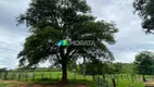 Foto 21 de Fazenda/Sítio com 3 Quartos à venda, 470m² em Zona Rural, Lassance