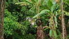 Foto 4 de Fazenda/Sítio à venda, 9000m² em Campo Grande, Rio de Janeiro