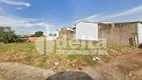 Foto 4 de Lote/Terreno à venda, 288m² em Taiaman, Uberlândia