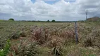 Foto 7 de Fazenda/Sítio à venda, 11500m² em , Monte Alegre