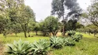 Foto 4 de Fazenda/Sítio com 1 Quarto à venda, 100m² em Vila Cristina, Caxias do Sul