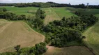 Foto 2 de Fazenda/Sítio à venda, 20000m² em Centro, Campo Alegre