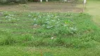 Foto 6 de Fazenda/Sítio com 4 Quartos à venda, 200m² em Lajeado, Cotia