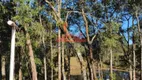 Foto 3 de Fazenda/Sítio com 3 Quartos para alugar, 200m² em Capinzal, Araucária
