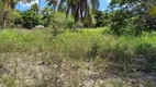 Foto 5 de Fazenda/Sítio com 3 Quartos à venda, 20000m² em Centro, Rio do Fogo