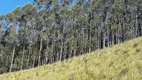 Foto 103 de Fazenda/Sítio com 3 Quartos à venda, 4600000m² em Zona Rural, Natividade da Serra