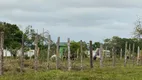 Foto 15 de Fazenda/Sítio à venda, 200000m² em Liberdade, Manacapuru