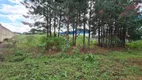 Foto 18 de Lote/Terreno à venda, 11876m² em Ouro Verde, Campo Largo