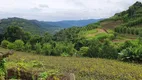 Foto 11 de Fazenda/Sítio à venda, 20000m² em Zona Rural, Santa Tereza