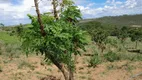 Foto 14 de Fazenda/Sítio com 1 Quarto à venda, 20000m² em Area Rural de Ceilandia, Brasília