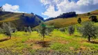 Foto 2 de Fazenda/Sítio à venda, 330000m² em Centro, Cristina