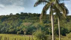 Foto 11 de Fazenda/Sítio com 2 Quartos à venda, 242000m² em Centro, Cachoeiras de Macacu