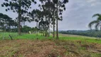 Foto 10 de Fazenda/Sítio com 1 Quarto à venda, 3539m² em Fazendinha, Campo Largo