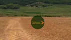 Foto 11 de Fazenda/Sítio à venda, 10696400m² em Zona Rural, Palestina