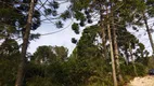 Foto 5 de Fazenda/Sítio à venda, 20050m² em Bateias, Campo Largo