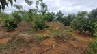 Foto 16 de Fazenda/Sítio com 2 Quartos à venda, 90m² em Centro, Pouso Alegre