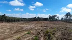 Foto 4 de Fazenda/Sítio à venda, 196000m² em Centro, Campo do Tenente