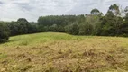 Foto 22 de Lote/Terreno à venda, 5000m² em Vila Delurdes, Campo Largo