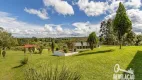 Foto 18 de Fazenda/Sítio com 3 Quartos à venda, 25000m² em Faxina, São José dos Pinhais