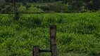 Foto 2 de Fazenda/Sítio com 3 Quartos à venda, 150m² em Zona Rural, Buritizeiro