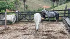 Foto 47 de Fazenda/Sítio com 2 Quartos à venda, 130000m² em Centro, Jaboticatubas