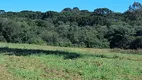 Foto 11 de Lote/Terreno à venda, 75000m² em Centro, Campo do Tenente