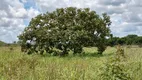 Foto 26 de Fazenda/Sítio com 3 Quartos à venda, 180000m² em Area Rural de Planaltina, Brasília