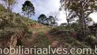 Foto 23 de Lote/Terreno à venda, 63400m² em Zona Rural, Delfim Moreira