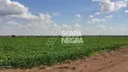 Foto 13 de Fazenda/Sítio com 1 Quarto à venda, 1100m² em , Jussara