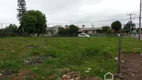 Foto 7 de Lote/Terreno para alugar, 990m² em Scharlau, São Leopoldo