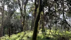 Foto 13 de Lote/Terreno à venda, 20000m² em Baiano, Urubici