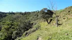 Foto 5 de Fazenda/Sítio à venda, 74000m² em Pedra Branca, Alfredo Wagner