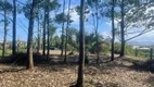 Foto 13 de Lote/Terreno à venda, 892m² em Praia do Rosa, Imbituba