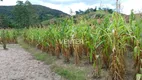 Foto 14 de Fazenda/Sítio com 3 Quartos à venda, 4700m² em Centro, Lagoinha