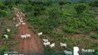 Foto 7 de Fazenda/Sítio à venda, 566m² em Zona Rural, Aparecida do Rio Negro