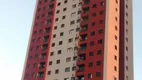 Foto 20 de Apartamento com 3 Quartos à venda, 63m² em Vila Arapuã, São Paulo