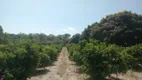 Foto 13 de Fazenda/Sítio com 2 Quartos à venda, 480000m² em São Vicente de Paula, Araruama