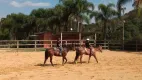 Foto 41 de Fazenda/Sítio com 4 Quartos para venda ou aluguel, 2200m² em Condomínio Porta do Sol, Mairinque